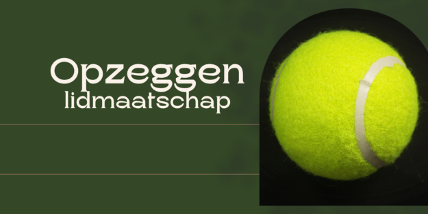 Groen roze en wit minimalistisch detailhandel chique meubilair en decor banner