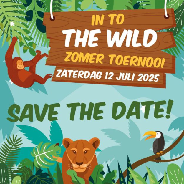 Afbeelding van WhatsApp op 2025-02-06 om 10.36.38_719a1e3f